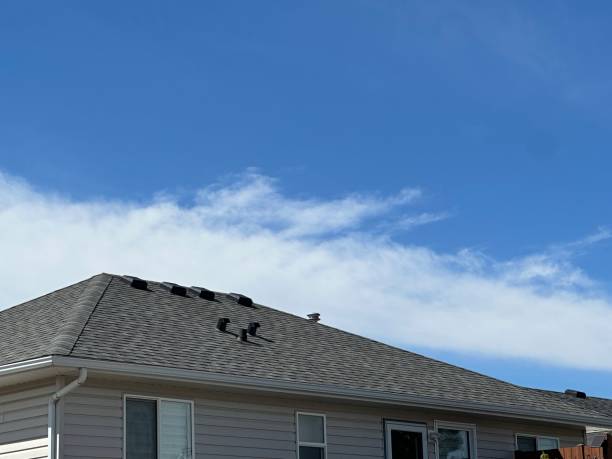 Best Roof Leak Repair  in Butner, NC